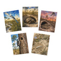 Scrub & Sandhill — Five Florida Wildlife Greeting Cards, Blank Inside