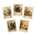 Florida Icons — Five Greeting Cards